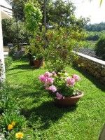 objects/794/17405_nove Irena 004.jpg
